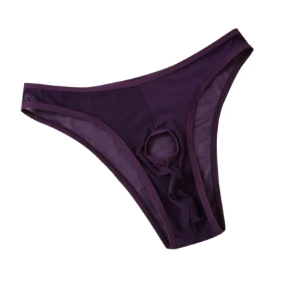 Open Front Mesh Panties - Image 10