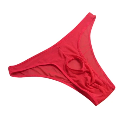 Open Front Mesh Panties - Image 9