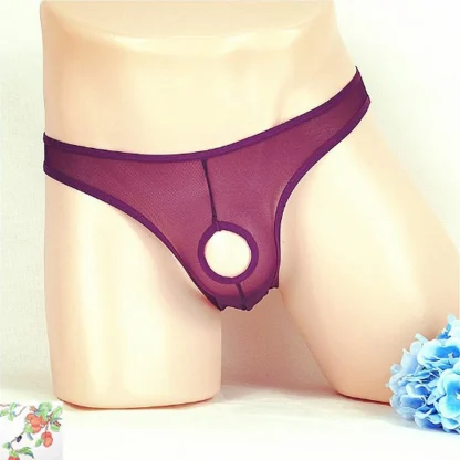 Open Front Mesh Panties - Image 6